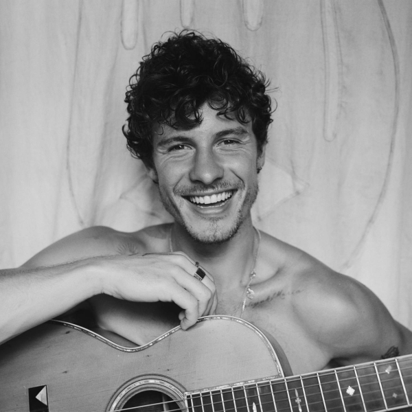Шон Мендес вспомнил, кто он есть, в «Shawn»